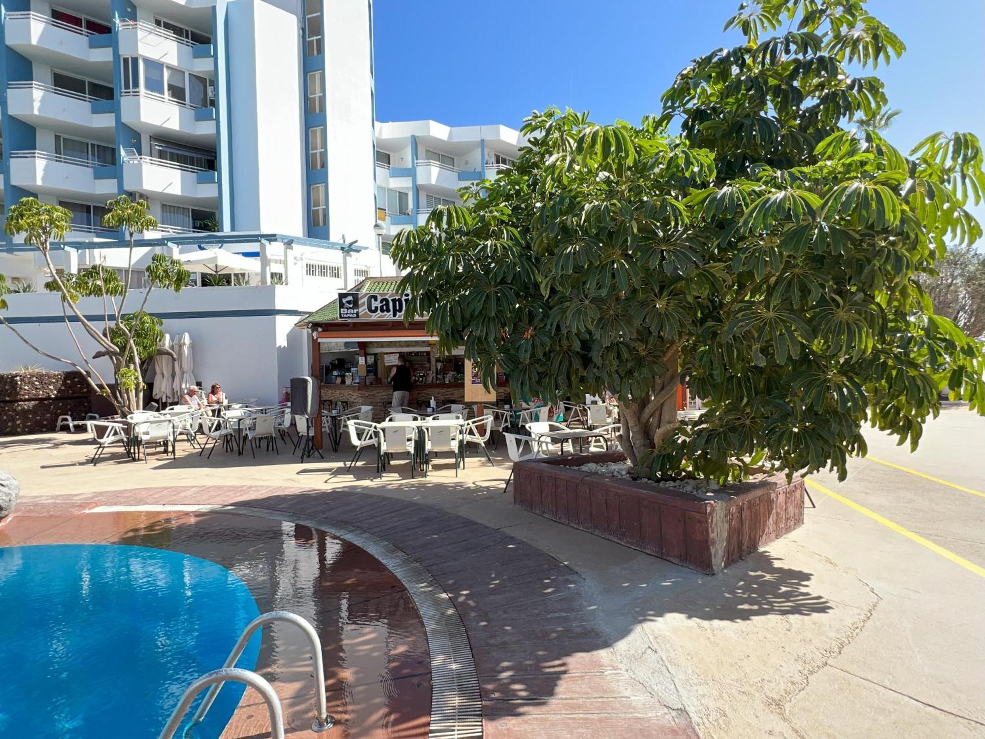 Tenerife Golf Del Sur Apartment 1 San Miguel de Abona Dış mekan fotoğraf